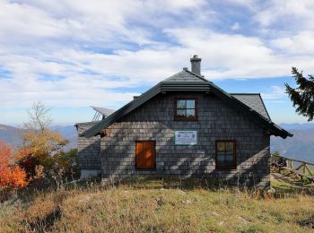 Randonnée A pied Gemeinde Türnitz - Wanderweg 34 - Photo