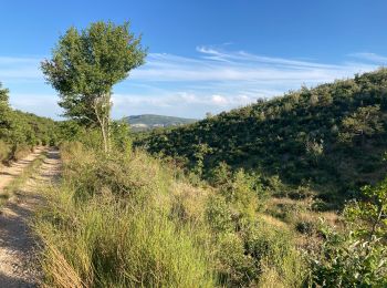 Tour Wandern Banon - Le Largue  - Photo