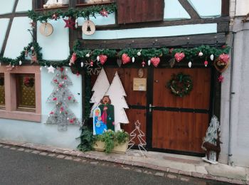 Randonnée Marche Bergheim - Bergheim - Entre vignes et crèches  - Photo