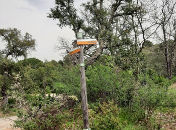 Randonnée Marche Les Mayons - Les Mayons - le Castel des Maures - Photo