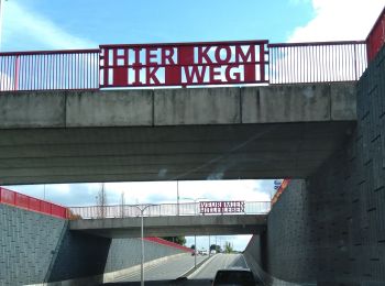 Tour Zu Fuß Assen - Rondje Marsdijk Noord-Oost - Photo