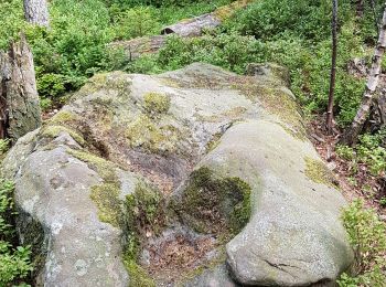 Tour Wandern Vexaincourt - Vosges - Vexaincourt - Lac de la Maix- sentier des myrtilles - Photo