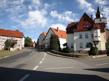 Tocht Te voet Gutsbezirk Reinhardswald - Eco Pfad Pilgerwege Gottsbüren 4 