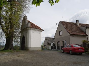 Excursión A pie Lužany - NS Živé paměti krajiny Lužan - Photo