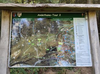 Randonnée Marche Steinsel - Ballade en forêt de Grünewald - Photo