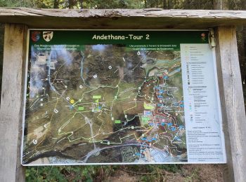 Excursión Senderismo Steinsel - Ballade en forêt de Grünewald  - Photo