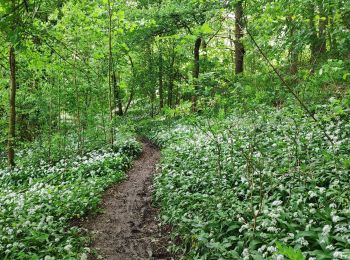 Trail Mountain bike Trooz - Par Al Heure - Photo