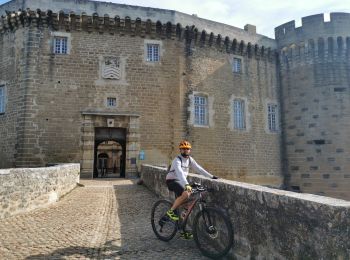 Percorso Mountainbike La Baume-de-Transit - les  esparants - Photo