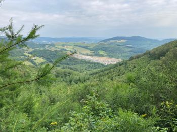 Tour Wandern Saint-Cyr-le-Chatoux - Saint-Cyr-le-Chatoux / 10 km - Photo