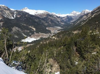 Randonnée Raquettes à neige Montgenèvre - Bois de Sestrières - Photo