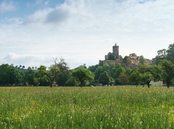 Randonnée A pied Schönburg - Geopfad Schönburg - Photo