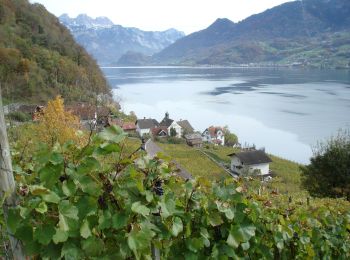 Trail On foot Walenstadt - Walenstadtberg - Quinten - Photo