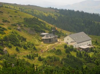 Percorso A piedi Bicaz - Cabana Izv. Muntelui - Platoul Ocolașului Mic - Cabana Dochia - Photo