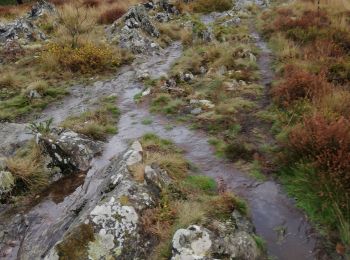 Excursión Senderismo Pluherlin - la vallée de l'Arz  - Photo