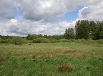 Excursión A pie Dieburg - Geo-Lehrpfad Dieburg : Natur- und historischer Wanderweg - Photo