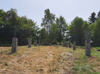 Excursión Senderismo Chambon-sur-Dolore - AUVERGNE 2023 Chambon-Frideroche - Photo