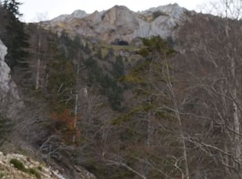 Trail Other activity Montségur - roc punchut grotte des foyers - Photo