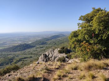 Randonnée Marche Volx - Volx -La garde - Photo