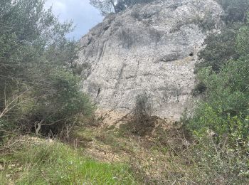 Trail Walking Aniane - Le tour des cougnets  - Photo