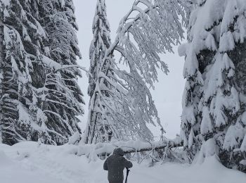 Trail Snowshoes La Pesse - Ambossieux /La Pesse par tire fesse  - Photo