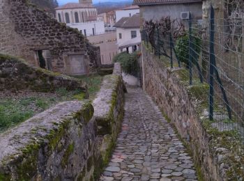 Randonnée Marche Châteauneuf-sur-Isère - 26 Châteauneuf didier - Photo