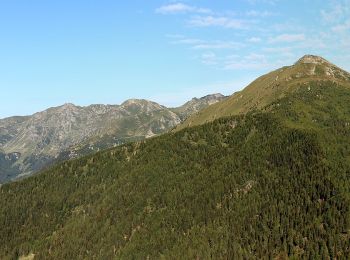 Percorso A piedi Telve di Sopra - Sentiero di Spiado e Sentiero del Salubio - Photo