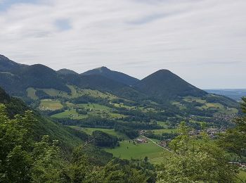 Percorso A piedi Flintsbach am Inn - Wanderweg 10 - Brannenburg - Photo