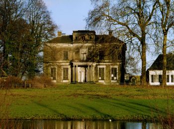 Percorso A piedi Brummen - NS-Wandeltocht Uiterwaarden van Cortenoever - Photo