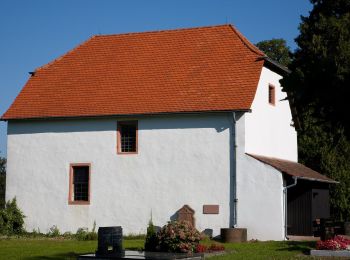 Percorso A piedi Reichelsheim (Odenwald) - Rundwanderweg Reichelsheim Teufelstein 3: Klößbuckelweg - Photo