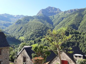 Trail Walking Aydius - Chemin des buis de Camloung-Segnate - Photo