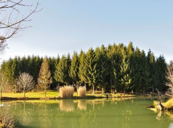 Tocht Te voet Hofkirchen im Traunkreis - Wanderweg Krottental - Photo