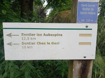 Trail Walking Saint-Junien - SAINT JUNIEN - Photo