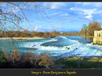 Trail On foot Sagrado - Sentiero CAI n. 76 - Photo