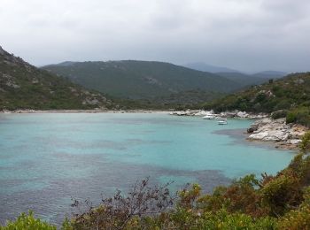 Randonnée Marche Santo-Pietro-di-Tenda - Plage de Saleccia - Saint-Florent - 20km 310m320 4h45 (1h15) - 2013 06 03 - Photo