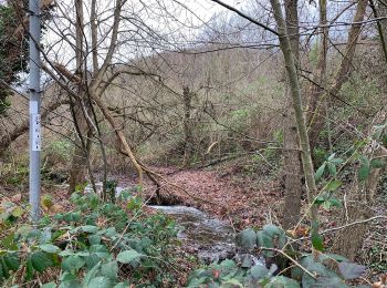 Percorso A piedi Nideggen - Stauseerundweg Obermaubach - Photo