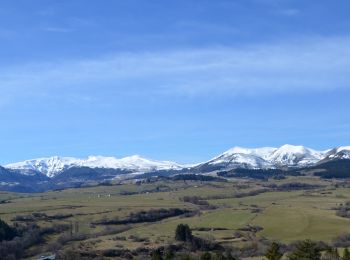 Randonnée Marche Le Vernet-Sainte-Marguerite - Vernet_Puy_Alou - Photo