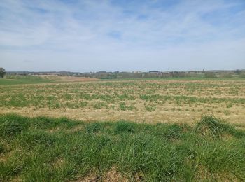 Randonnée Marche Genappe - Ferme du Foriet- Nivelles   - Photo