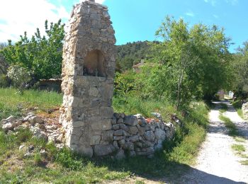 Randonnée Marche Cotignac - Cotignac Grand Bessillon - Photo