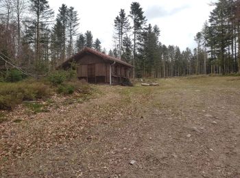 Randonnée Marche Ferdrupt - circuit col de la sûre chalets de rupts derrière et homant - Photo