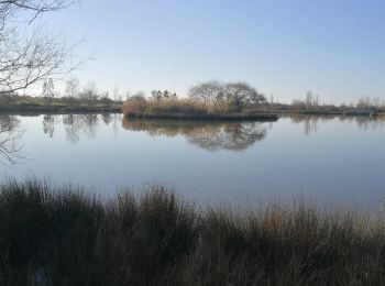 Tocht Stappen Fonsorbes - Les 3 B : Bidot, Birazel et Bordeneuve - Photo