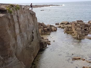 Excursión Senderismo Pleumeur-Bodou - Tour de l' ile grande, Trebeurden - Photo