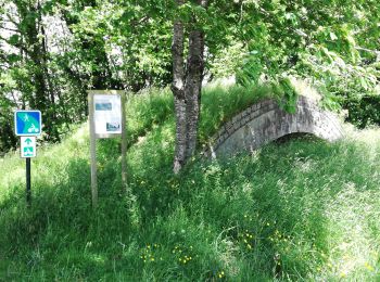 Tour Wandern Ercé-en-Lamée - 21052021 Erce en Lamee /Bonne Fontaine - Photo