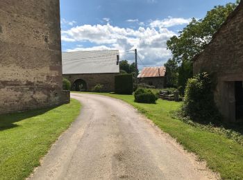 Tour Reiten Fougerolles-Saint-Valbert - Vers fontaine des larrons 9kms - Photo