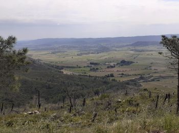 Tocht Stappen Fabrezan - Frabezan La Pinada  - Photo