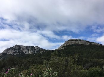 Trail Walking La Farlède - Le Coudon au départ de la Farlède - Photo