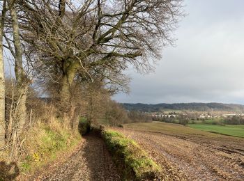 Randonnée Marche Fourons - 80.397 Voeren - Aldeneik - Photo