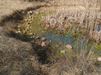 Trail Walking Vescles - Vescles Sous le pic d'oliferne  - Photo