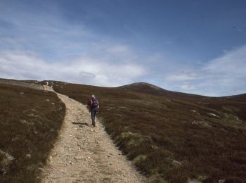 Trail On foot  - Queen's Well - Photo