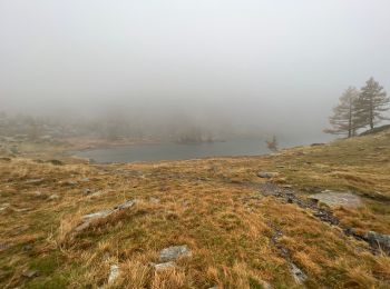 Randonnée Marche Saint-Martin-Vésubie - Trecolpas - Photo