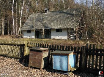 Percorso A piedi Janów - Rawicz - Photo